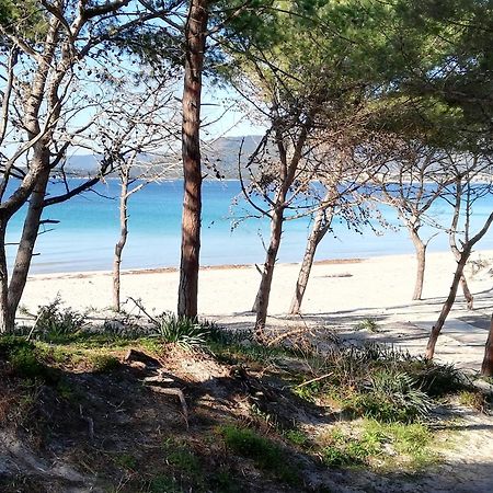 Nuovissimo Appartamento Con Terrazza Alghero Exteriér fotografie