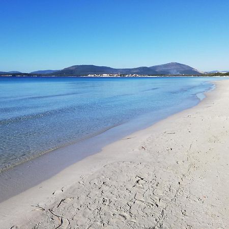Nuovissimo Appartamento Con Terrazza Alghero Exteriér fotografie